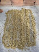 Associação Café Nova Canaã (8).jpeg