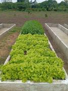 Barreiros de trincheira (3).jpeg