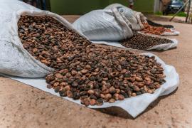 Coopafbasul (7).jpeg