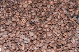 Coopafbasul_ (8).jpeg