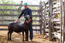 Anúncio de editais (3).jpeg