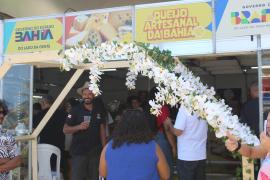 Caminho da Roça (15).jpeg