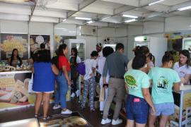 Caminho da Roça (17).jpeg