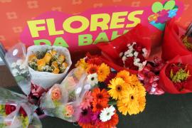 Flores e Artesanato_ Fotos Milena Andrade  (10).jpeg