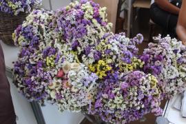 Flores e Artesanato_ Fotos Milena Andrade  (11).jpeg