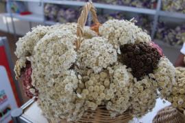 Flores e Artesanato_ Fotos Milena Andrade  (13).jpeg