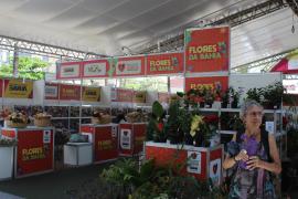 Flores e Artesanato_ Fotos Milena Andrade  (9).jpeg