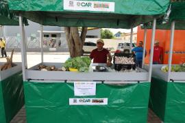 Fotos Suâmi Dias (3).jpeg