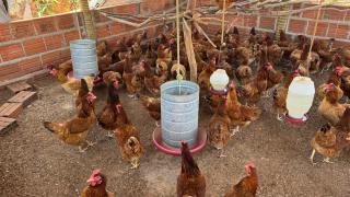 Kits Produtivos (1).jpeg