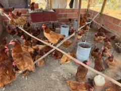 Kits Produtivos (4).jpeg