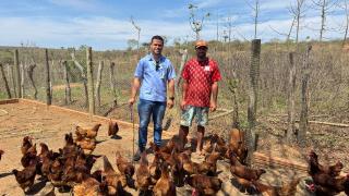 Kits Produtivos (8).jpeg