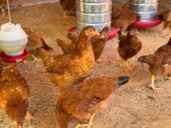 Kits Produtivos (9).jpeg