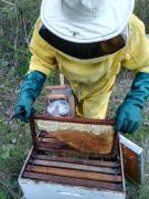 Kits Produtivos Cisan (1).jpeg