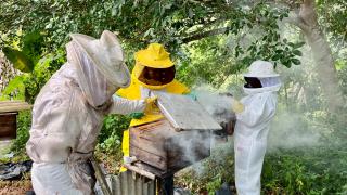 Apicultura CTR _ Jack Peixoto (1).jpeg