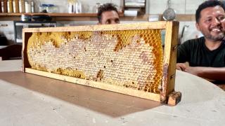 Apicultura CTR _ Jack Peixoto (3).jpeg