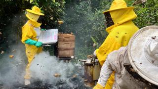 Apicultura CTR _ Jack Peixoto (4).jpeg