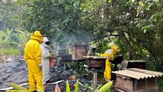 Apicultura CTR _ Jack Peixoto (5).jpeg