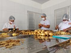 Agroindústria familiar impulsiona renda de mulheres em assentamento de Ourolândia-2026-04-22-12-22-17 (1).jpg