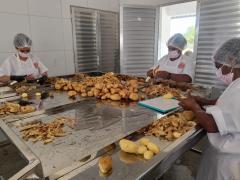 Agroindústria familiar impulsiona renda de mulheres em assentamento de Ourolândia-2026-04-22-12-22-18.jpg