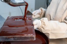 Bahia Cacau - Foto André Frutuôso (11).jpeg