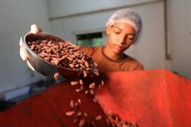 Chocolate artesanal de assentamento baiano amplia mercado - Foto André Frutuôso (5).jpeg