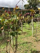 WhatsApp Image 2018-05-23 at 14.53.38 (1).jpeg