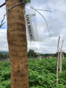 WhatsApp Image 2018-05-23 at 14.53.41 (1).jpeg