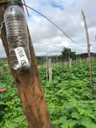 WhatsApp Image 2018-05-23 at 14.53.41.jpeg