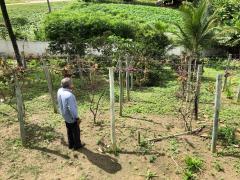 WhatsApp Image 2018-05-23 at 14.53.43.jpeg