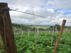 WhatsApp Image 2018-05-23 at 18.32.28.jpeg