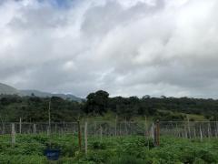 WhatsApp Image 2018-05-23 at 18.32.29 (1).jpeg