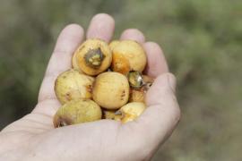 WhatsApp Image 2018-06-28 at 14.23.40 (1).jpeg