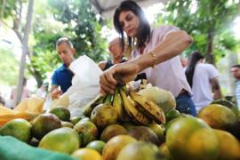 feira Agroecológica  (1).jpg