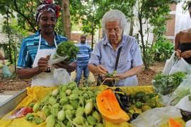 feira Agroecológica  (3).jpg
