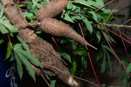 Visita ao Quilombo do Tereré-7.jpg