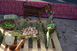 WhatsApp Image 2019-02-22 at 18.47.31.jpeg