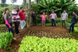 Representantes_da_Subway_visitam_agricultura_familiar_de_Senhor_do_Bonfim_e_Pindobaçu-6.jpg