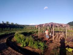 WhatsApp Image 2019-04-01 at 07.55.27 (1).jpeg