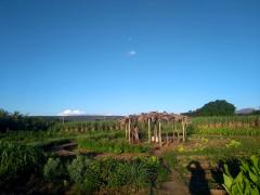 WhatsApp Image 2019-04-01 at 07.55.27.jpeg