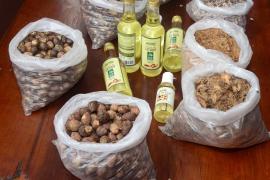 WhatsApp Image 2019-05-08 at 15.05.59.jpeg