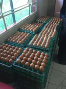 Intercâmbio (21).jpeg