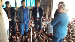 Intercâmbio (25).jpeg