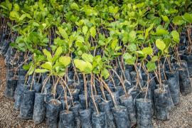 WhatsApp Image 2019-06-10 at 14.54.26.jpeg