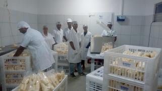 WhatsApp Image 2019-06-13 at 17.28.41.jpeg