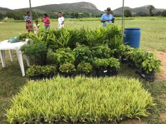 WhatsApp Image 2019-06-17 at 14.15.51.jpeg