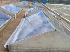 Intercambio de saberes - Jovens Semear (3).jpeg