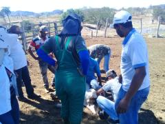 WhatsApp Image 2019-07-10 at 12.09.25 (1).jpeg