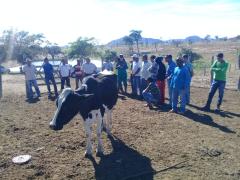 WhatsApp Image 2019-07-10 at 12.09.26.jpeg