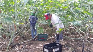 WhatsApp Image 2019-07-17 at 18.13.00.jpeg