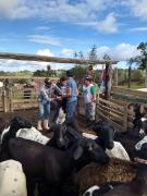 WhatsApp Image 2019-07-30 at 15.04.22.jpeg